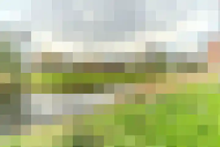 Graaf Floriskade 68 Delft thumbnail 51