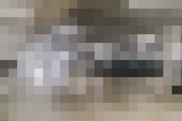 Graaf Floriskade 68 Delft thumbnail 52