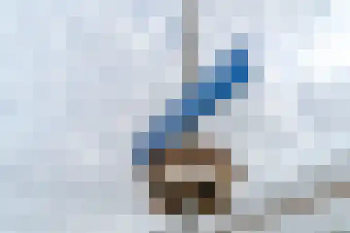 Graaf Floriskade 68 Delft thumbnail 6