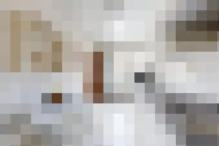 Graaf Florisstraat 26 Klundert thumbnail 5