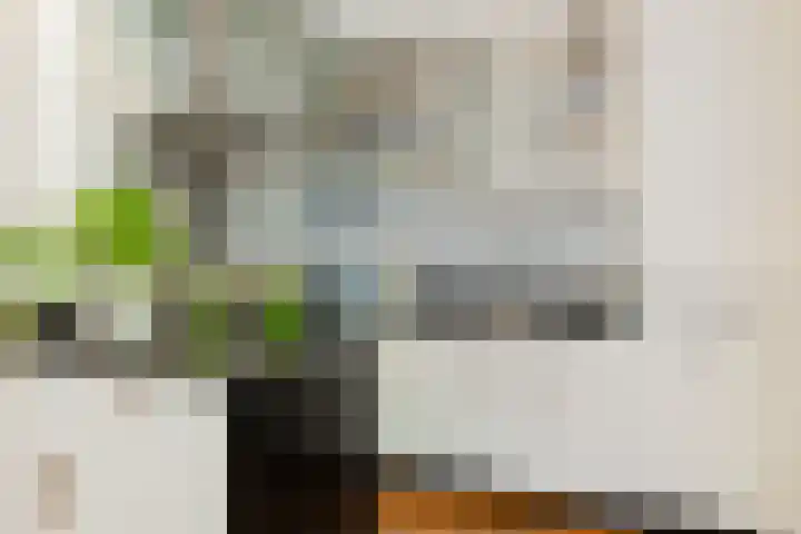 Graaf Florisstraat 27 2 Amsterdam thumbnail 12