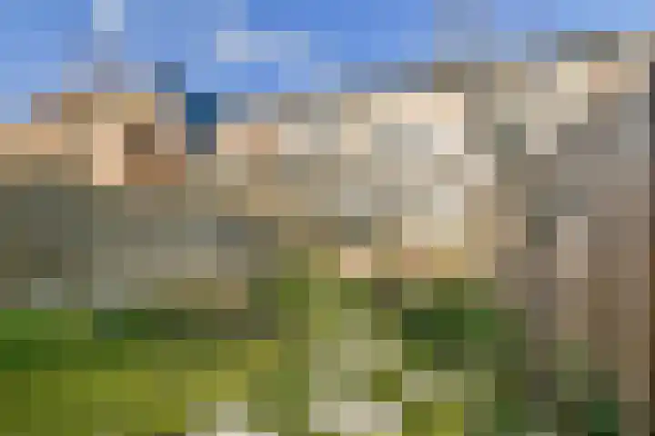 Graaf Florisweg 16 Gouda thumbnail 38