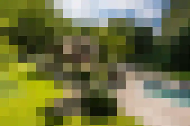 Graaf Florisweg 80 Gouda thumbnail 19