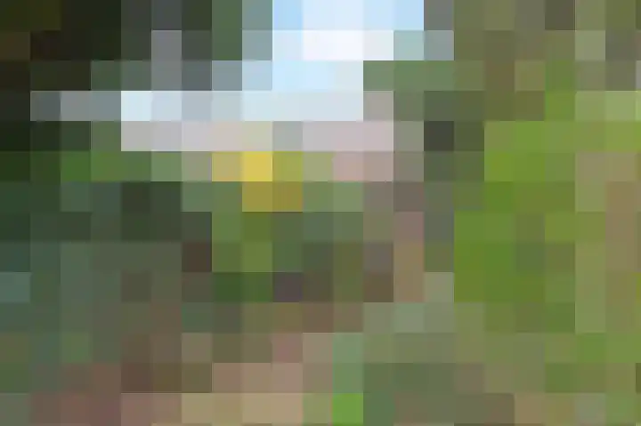Graaf Florisweg 80 Gouda thumbnail 29