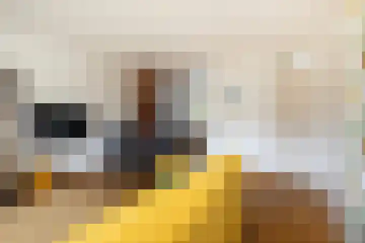 Graaf Geraldlaan 8 Amersfoort thumbnail 5