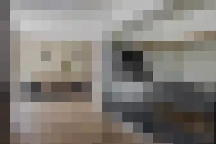 Graaf Hendrikstraat 4 Kessel thumbnail 20