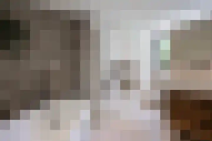 Graaf Hendrikstraat 4 Kessel thumbnail 30