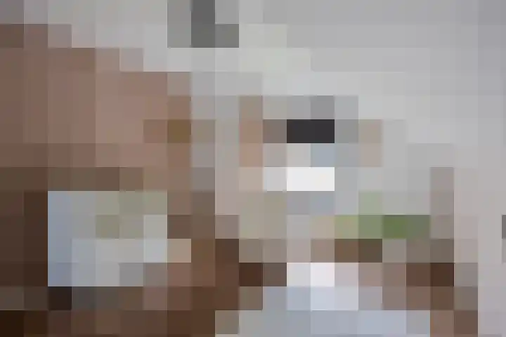 Graaf Hendrikstraat 4 Kessel thumbnail 37