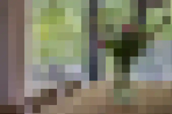 Graaf Hendrikstraat 4 Kessel thumbnail 38