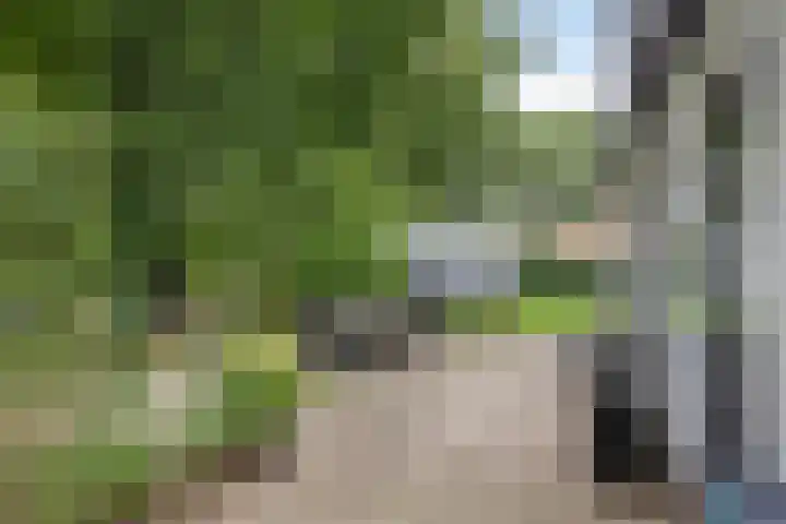 Graaf Hendrikstraat 4 Kessel thumbnail 40