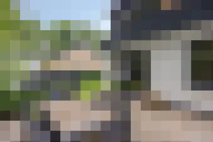 Graaf Hendrikstraat 4 Kessel thumbnail 42