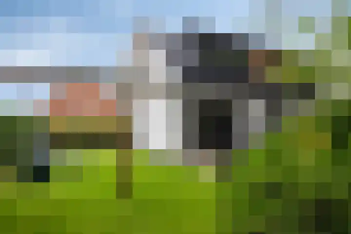Graaf Hendrikstraat 4 Kessel thumbnail 44