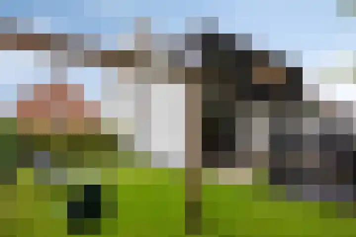 Graaf Hendrikstraat 4 Kessel thumbnail 45