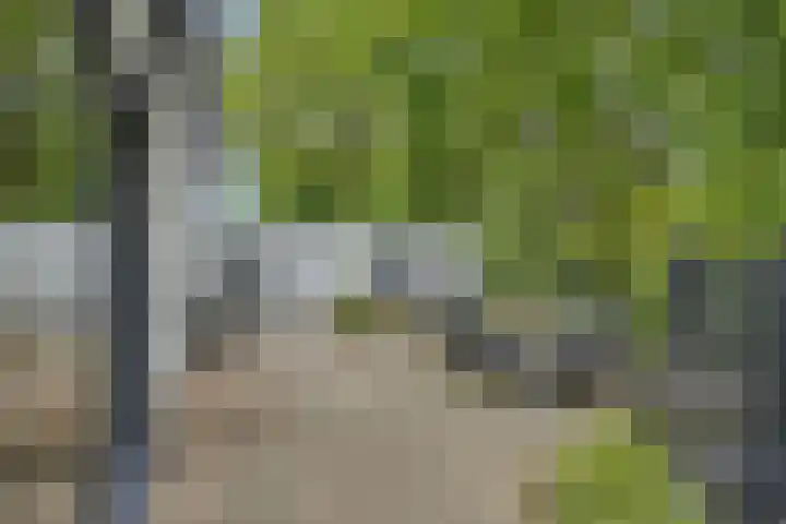 Graaf Hendrikstraat 4 Kessel thumbnail 46