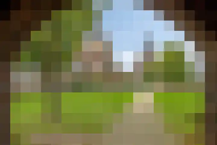 Graaf Hendrikstraat 4 Kessel thumbnail 54