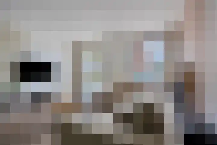 Graaf Hendrikstraat 4 Kessel thumbnail 9