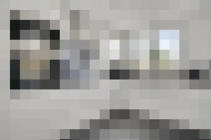 Graaf Jacobstraat 32 Horn thumbnail 15