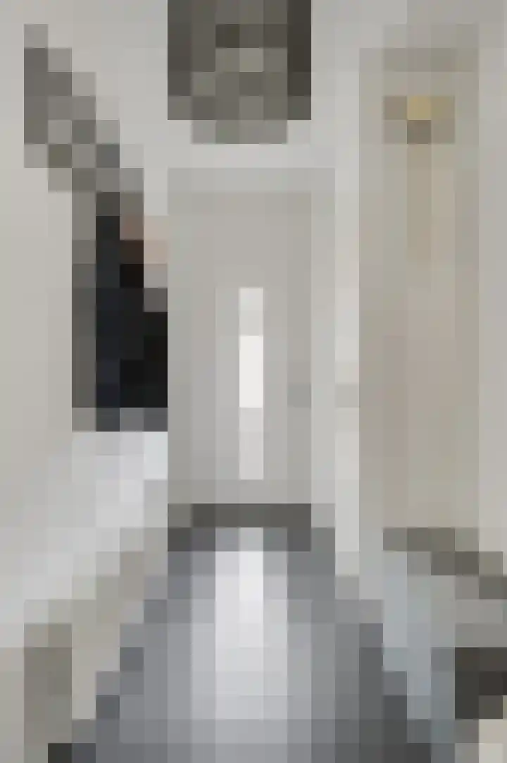 Graaf Jacobstraat 32 Horn thumbnail 7