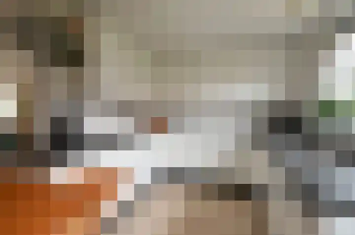 Graaf Janlaan 31 Naarden thumbnail 13