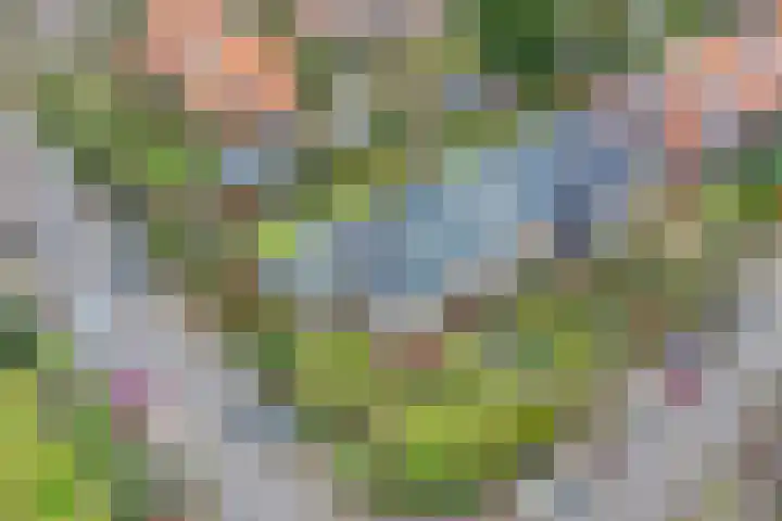 Graaf Janlaan 31 Naarden thumbnail 25