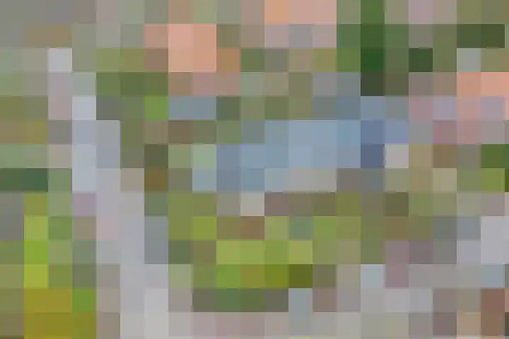 Graaf Janlaan 31 Naarden thumbnail 26