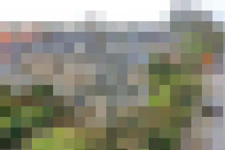 Graaf Janlaan 31 Naarden thumbnail 27