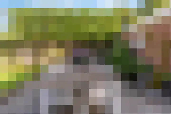 Graaf Janlaan 41 Naarden thumbnail 38