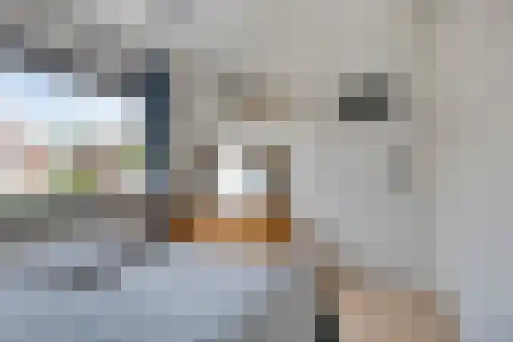 Graaf Janlaan 57 Hillegom thumbnail 25