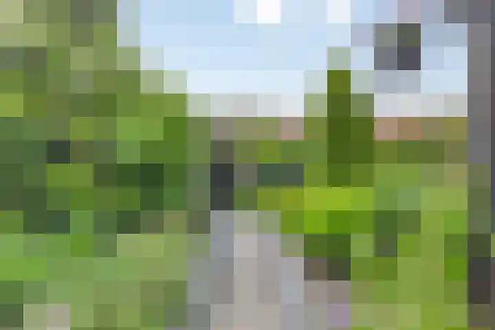 Graaf Janlaan 57 Hillegom thumbnail 33