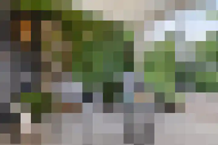 Graaf Janlaan 57 Hillegom thumbnail 36