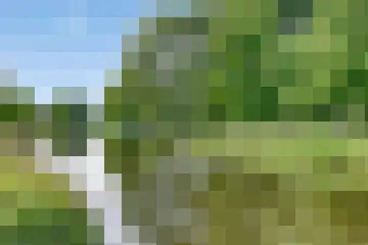 Graaf Janlaan 57 Hillegom thumbnail 38