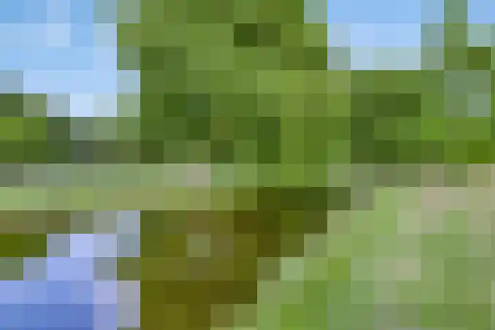 Graaf Janlaan 57 Hillegom thumbnail 39