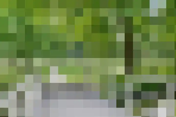 Graaf Janlaan 57 Hillegom thumbnail 40