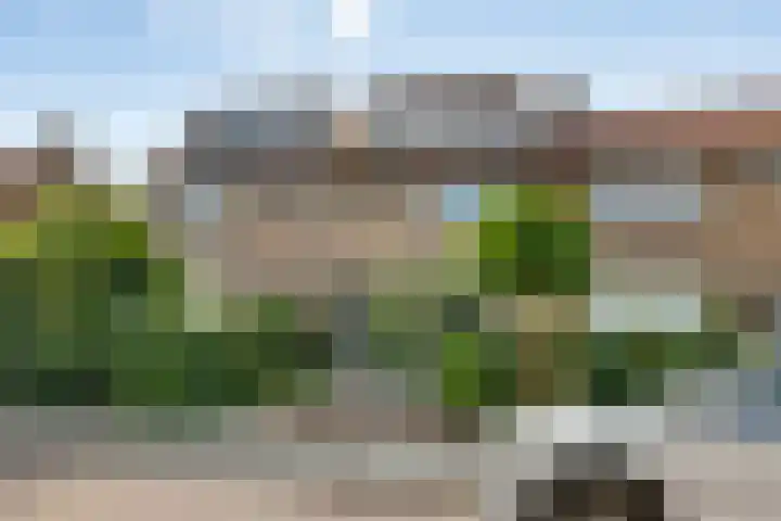 Graaf Janlaan 57 Hillegom thumbnail 6