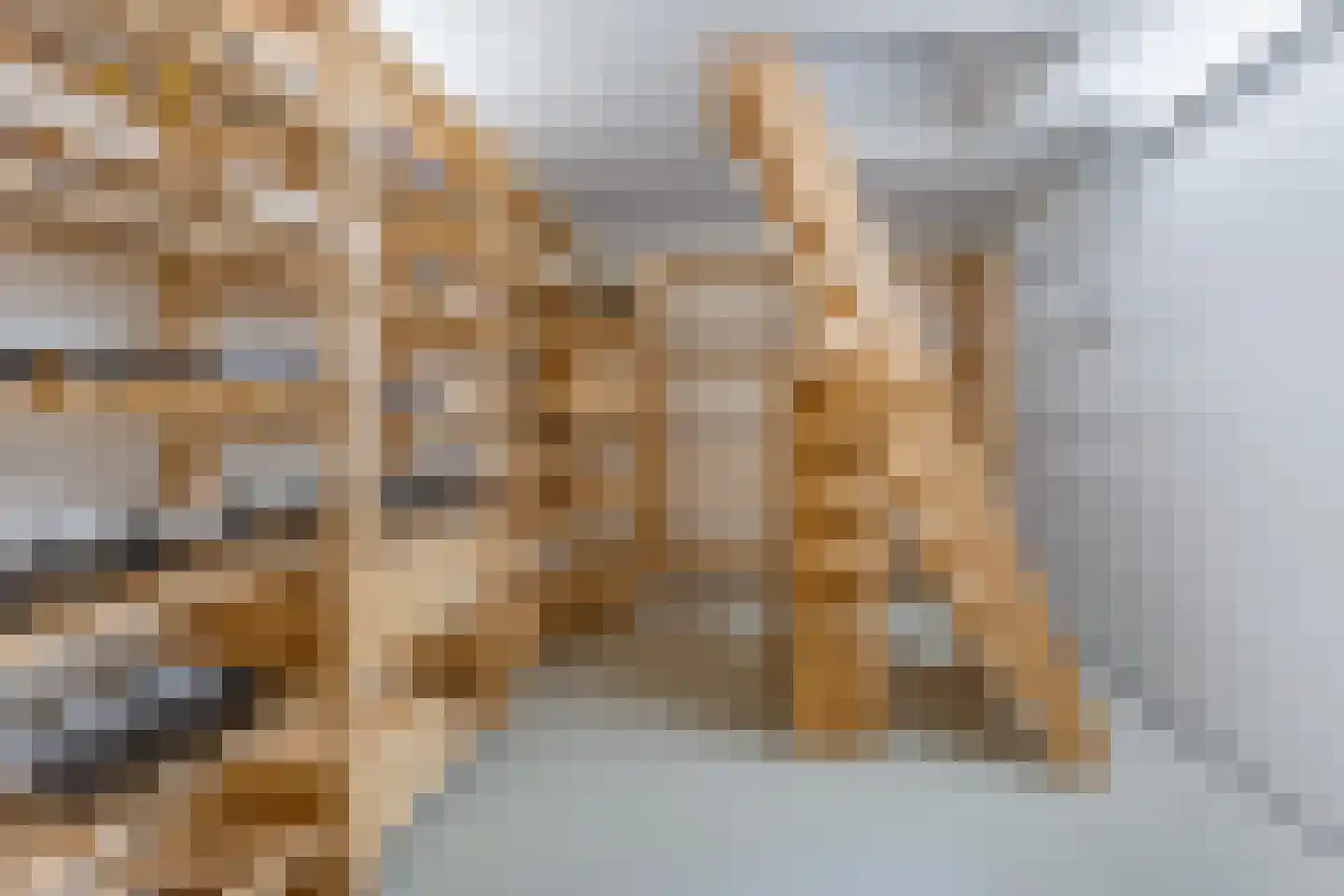Graaf Janlaan 64 Zeist thumbnail 21