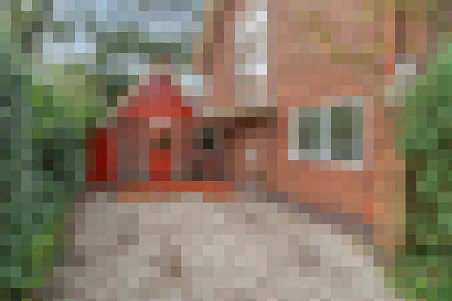 Graaf Janlaan 64 Zeist foto 3