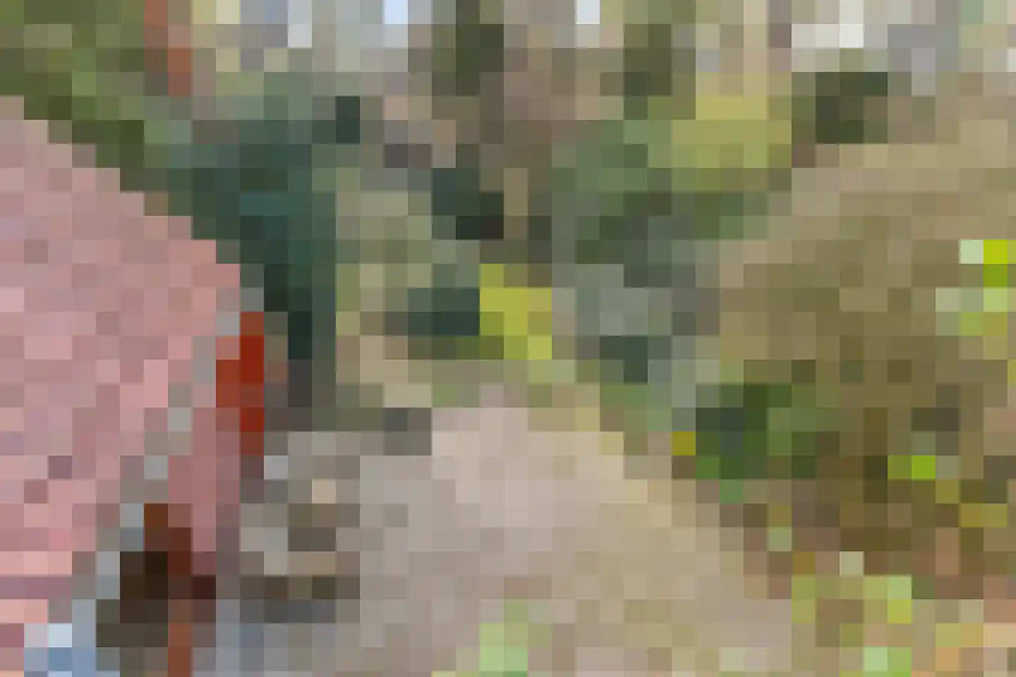 Graaf Janlaan 64 Zeist thumbnail 40