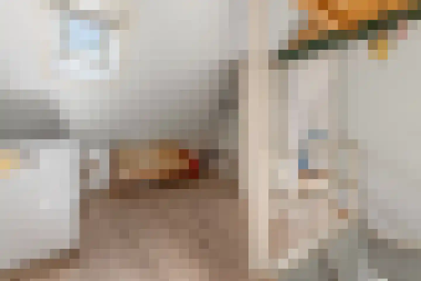 Graaf Janlaan 64 Zeist thumbnail 42
