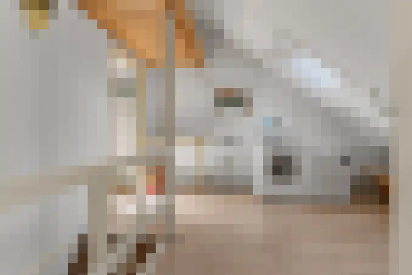 Graaf Janlaan 64 Zeist thumbnail 43
