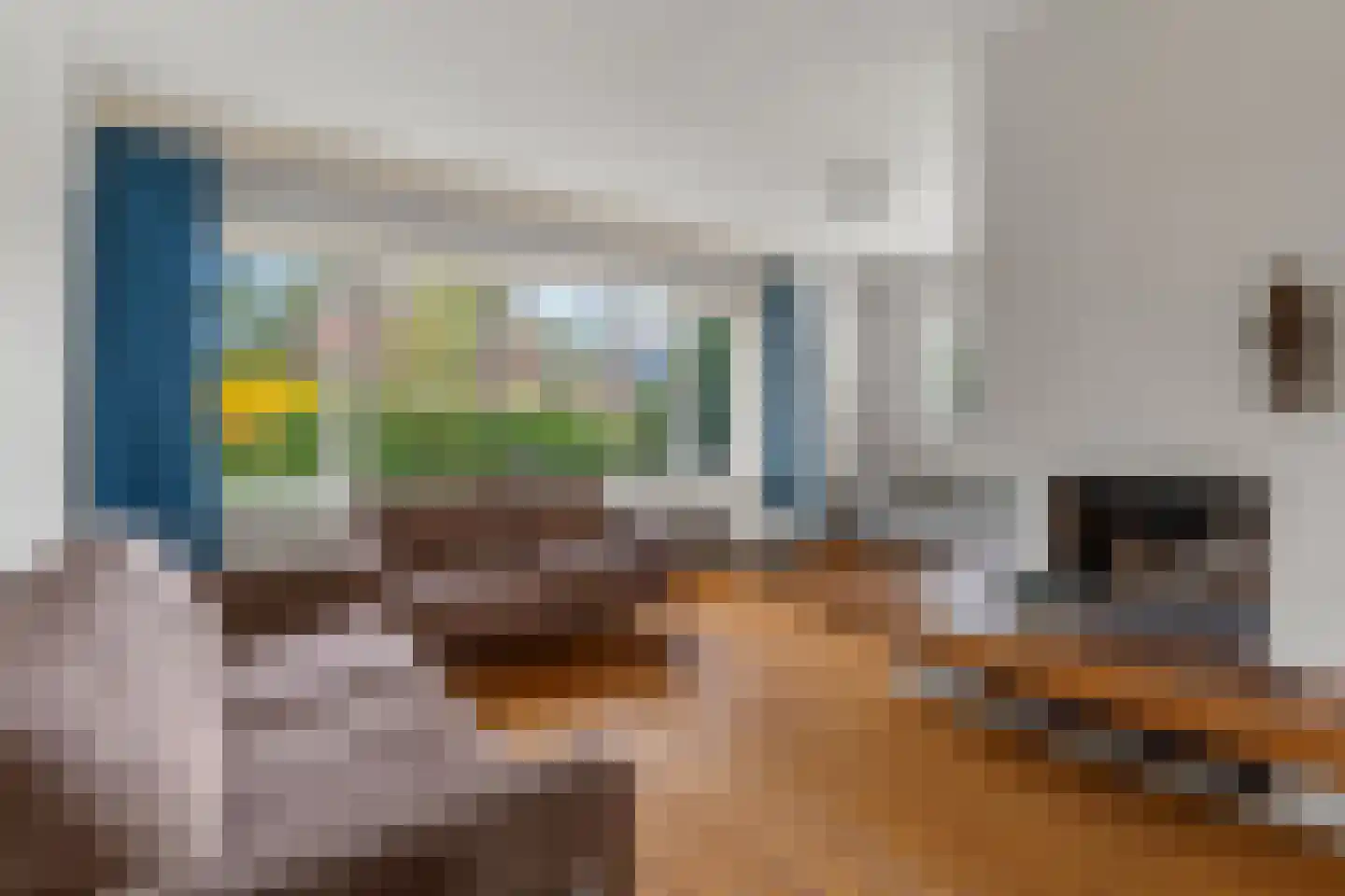 Graaf Janlaan 64 Zeist thumbnail 5