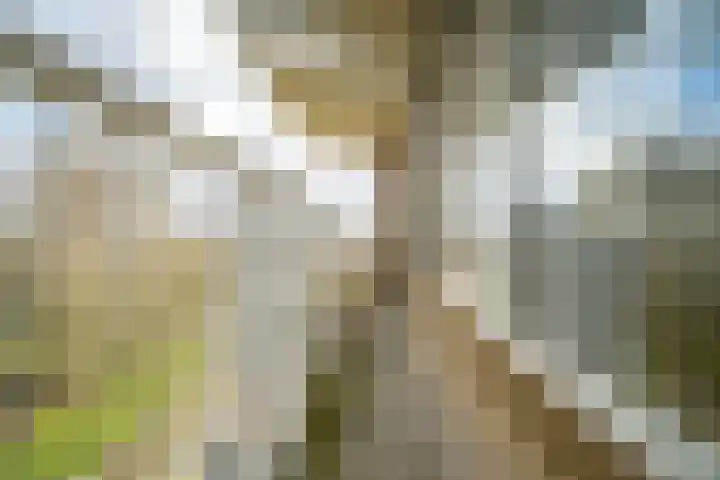 Graaf Janstraat 103 Zoetermeer thumbnail 13