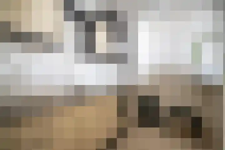 Graaf Janstraat 103 Zoetermeer thumbnail 23