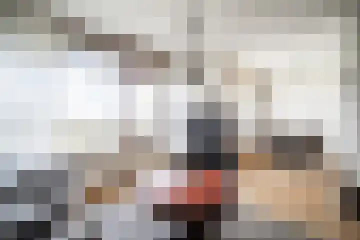 Graaf Janstraat 103 Zoetermeer thumbnail 7