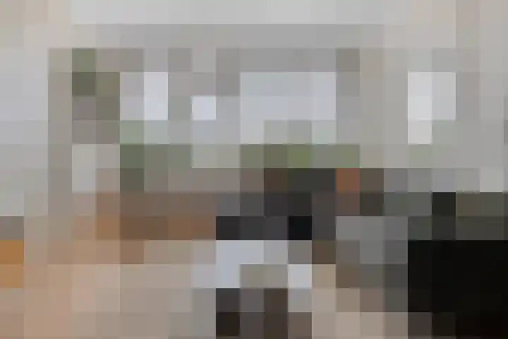 Graaf Janstraat 72 Zoetermeer thumbnail 10