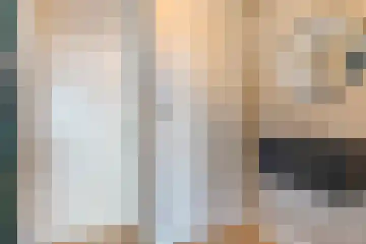 Graaf Janstraat 72 Zoetermeer thumbnail 8