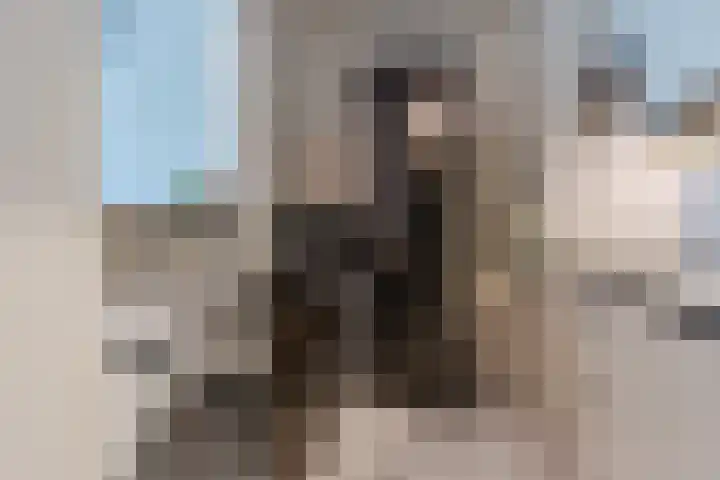 Graaf Janstraat 83 Zoetermeer thumbnail 22
