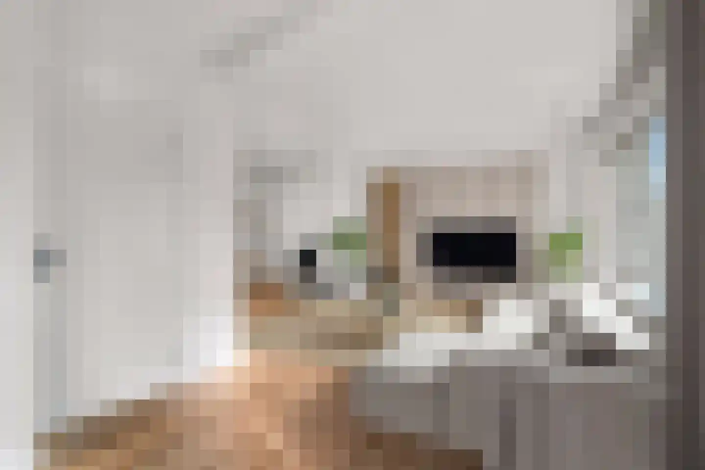 Graaf Johan Frederikstraat 2 Landgraaf thumbnail 6