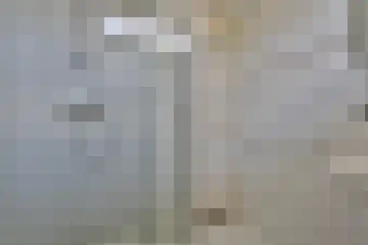 Graaf Lodewijkstraat 4 Zoetermeer thumbnail 23