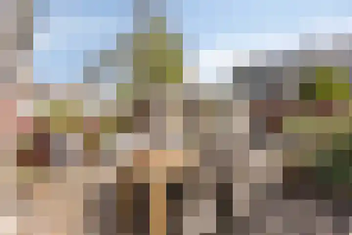 Graaf Lodewijkstraat 4 Zoetermeer thumbnail 34