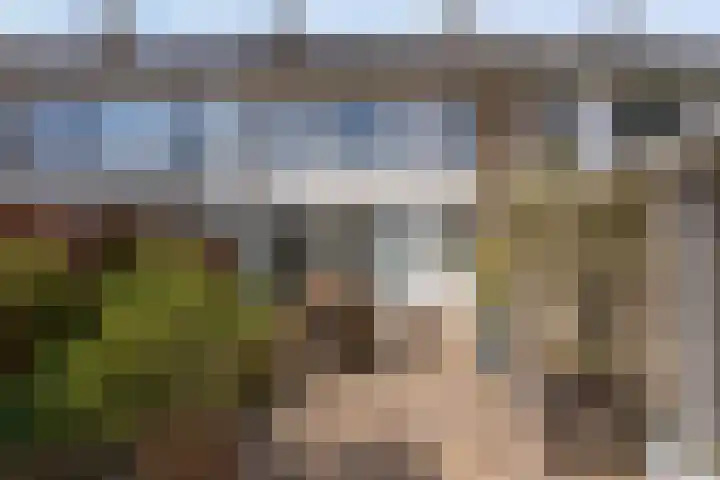 Graaf Lodewijkstraat 4 Zoetermeer thumbnail 37
